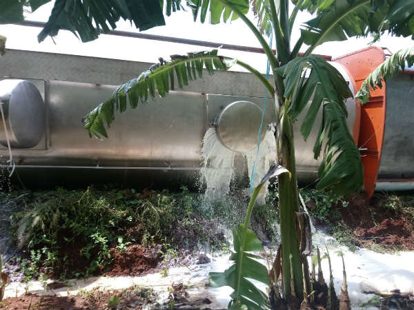 Lakhs of rupees worth milk wasted after lorry topple
