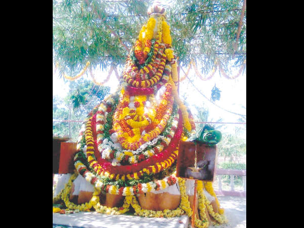 Unusual stories : Ant hill shakes during jatra in Mudigere, Chikkamagaluru