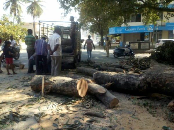 Protest against Shivamogga City Corporation tree felling Protest against Shivamogga City Corporation tree felling