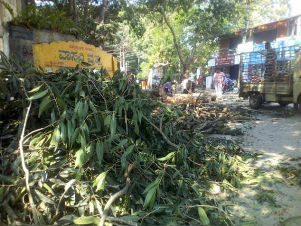 Protest against Shivamogga City Corporation tree felling Protest against Shivamogga City Corporation tree felling