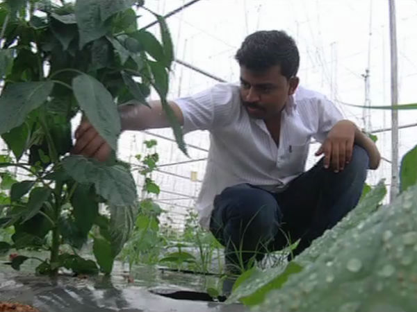 Yadgir engineer finds solace in agriculture