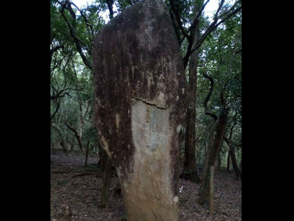 Thirthahalli Nonabur and Mallesara village Stone tomb new attraction Thirthahalli Nonabur and Mallesara village Stone tomb new attraction