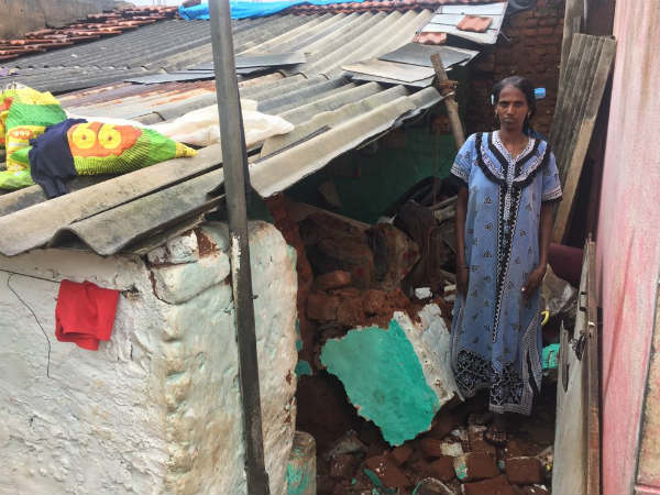 Heavy rain in Mysuru, crocodile found in Kuppanna park Heavy rain in Mysuru, crocodile found in Kuppanna park