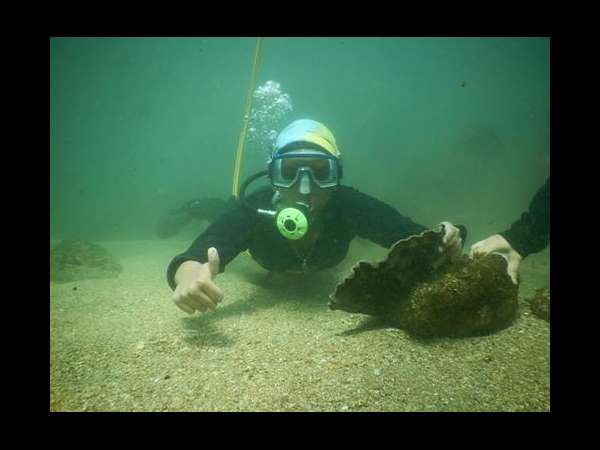  ಜನವರಿಯಲ್ಲಿ ಸ್ಕೂಬಾ ಉತ್ಸವ