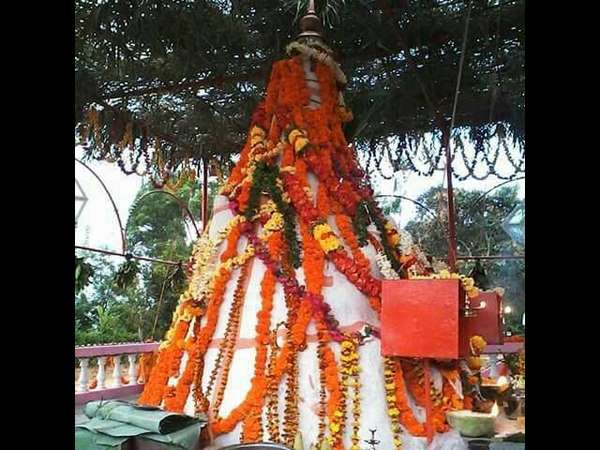 ಹುತ್ತ ಅಲುಗಾಡಿದ ನಂತರ 