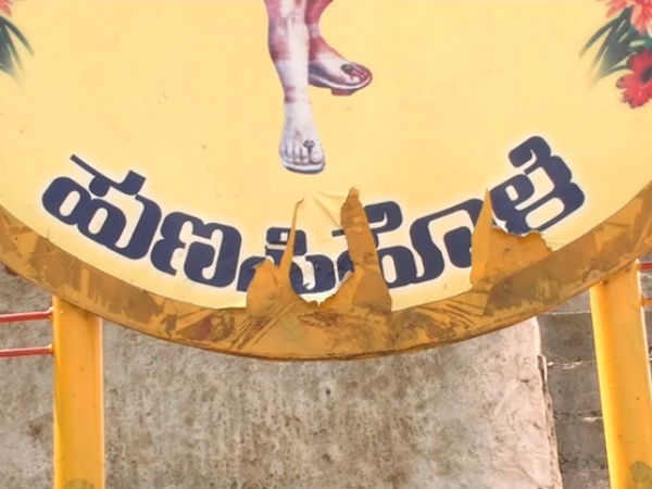 1000ಕ್ಕೂ ಹೆಚ್ಚು ಕೋತಿಗಳಿವೆ 1000ಕ್ಕೂ ಹೆಚ್ಚು ಕೋತಿಗಳಿವೆ