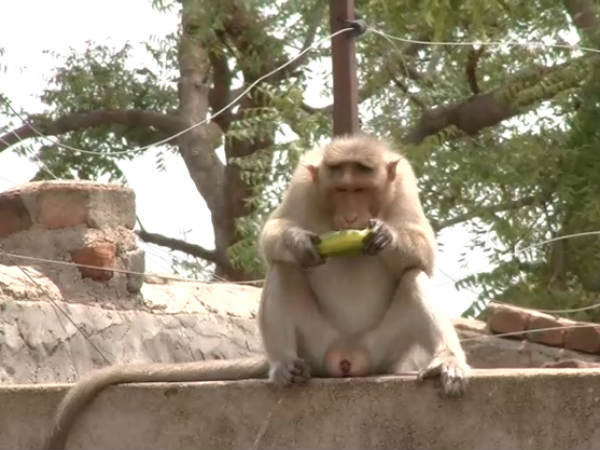 ಕ್ರಮ ಕೈಗೊಳ್ಳುತ್ತೇವೆ ಕ್ರಮ ಕೈಗೊಳ್ಳುತ್ತೇವೆ