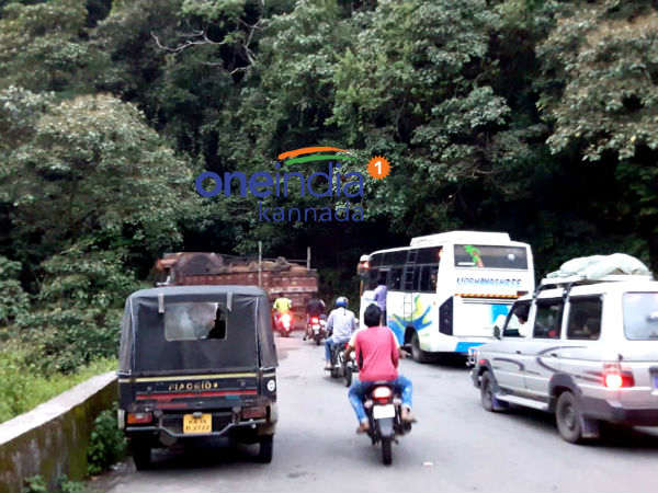 ಜೋಳದ ಹೊಲಗಳಿಗೆ ನುಗ್ಗಿ ಹಾನಿ