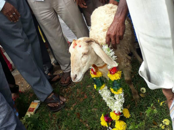 ಉಂಬಳಿಯಾಗಿ ಭೂ ದಾನ