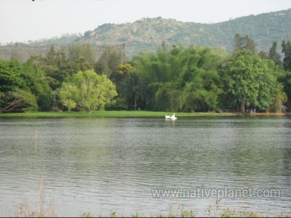 ಸಿಬ್ಬಂದಿಯಿಂದ ಕೂಂಬಿಂಗ್