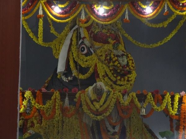 ಪರಿಷೆಯ ಹಿಂದೆಯೂ ಐತಿಹಾಸಿಕ ಕತೆಯಿದೆ