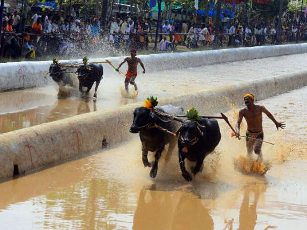 ಎಲ್ಲಾ ವಿಭಾಗಗಳಲ್ಲಿ ಸ್ಪರ್ಧೆ