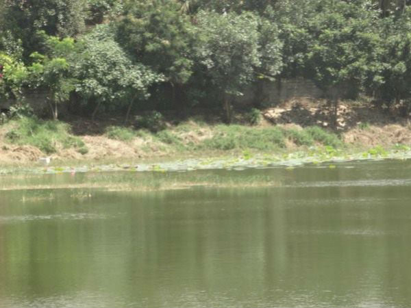 ಮೂಲಭೂತ ಸೌಲಭ್ಯಕ್ಕಾಗಿ ಒತ್ತುವರಿ