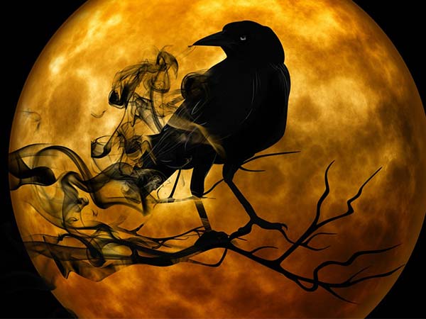 ಕಾಗೆ ಉಳಿವಿಗೆ ಏನು ಮಾಡಬೇಕು?