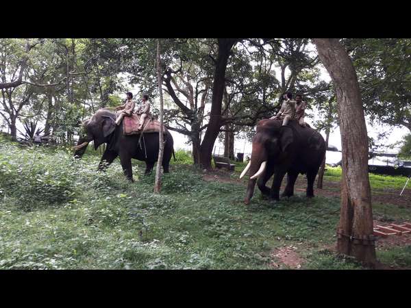 Forest department officicers stop operation tiger in Mysuru 