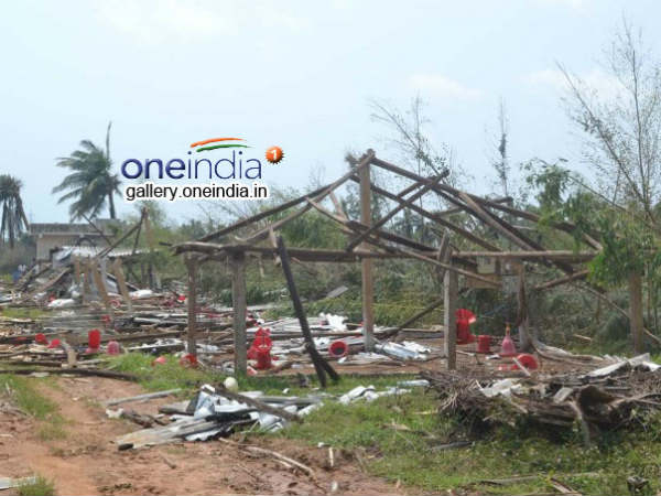 ಫೈಲಿನ್ - 2013