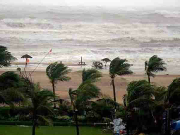 ಫ್ಯಾನ್ - 2009