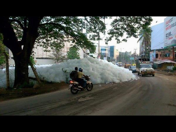 ಅವಶೇಷಗಳನ್ನು ಬಿಬಿಎಂಪಿ ಹಾಕಿಲ್ಲ: ಅವಶೇಷಗಳನ್ನು ಬಿಬಿಎಂಪಿ ಹಾಕಿಲ್ಲ: