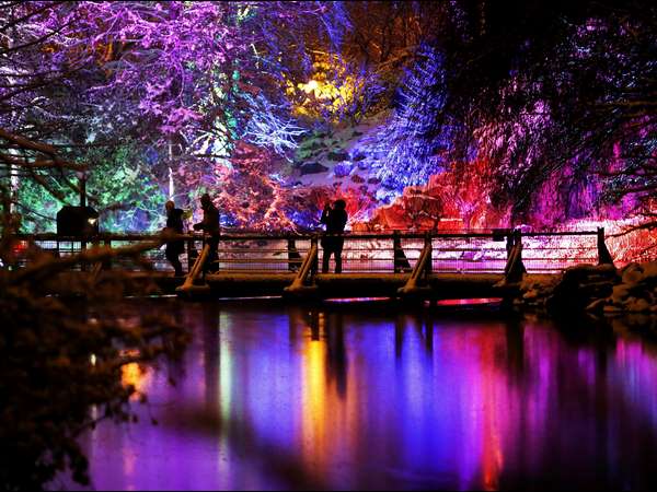 ಬಣ್ಣ ಬಣ್ಣದ ಚಿತ್ತಾರ