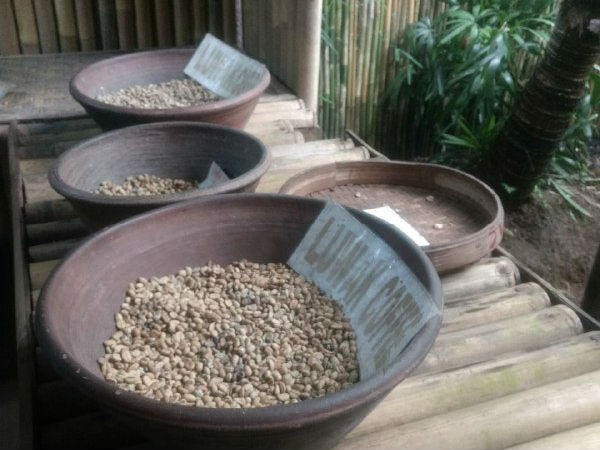 ಗ್ಯಾಸ್ಟ್ರಿಕ್ ಆಗುತ್ತದೆ ಕಾಫಿ ಕುಡಿಯಬೇಡಿ