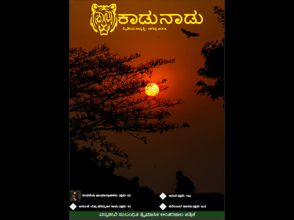 ನಿಮ್ಮ ತಂಡದಲ್ಲಿ ಯಾರೆಲ್ಲ ಇದ್ದೀರಿ? 