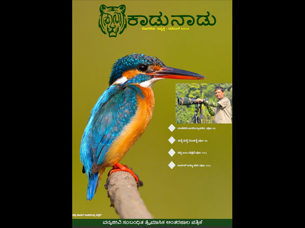 ಆನ್ ಲೈನ್ ನಲ್ಲಿ ಏಕೆ? 