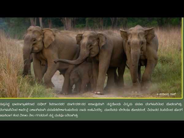 ಮುಂದಿನ ಯೋಜನೆಗಳೇನು? 