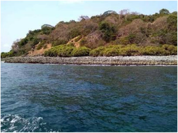 ರಿಯಾಯಿತಿ ದರದಲ್ಲಿ ಪ್ರವೇಶ