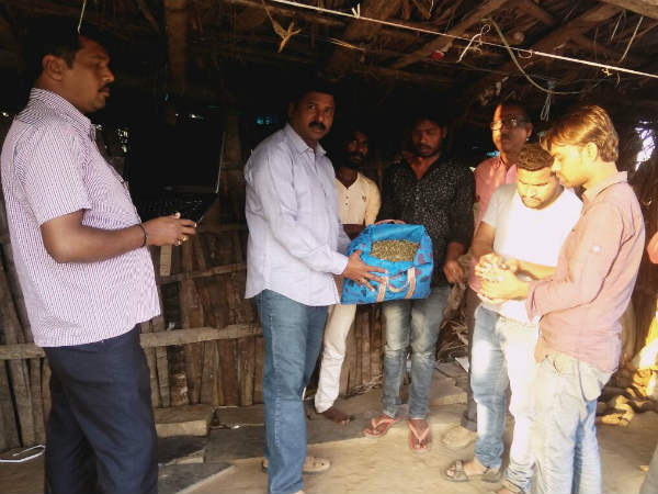 Ganja seized and 4 arrested in Shivamogga 