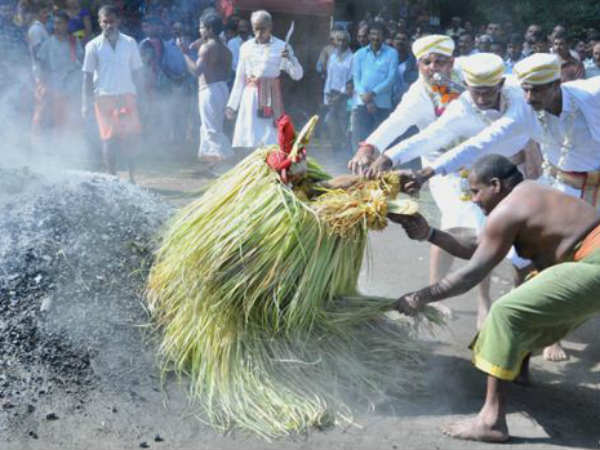 Traditional fest in Makki Shastavu temple in Kodagu