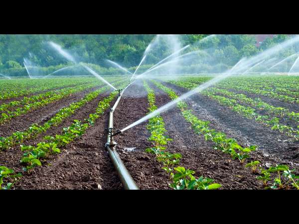 ನೀರಾವರಿ ಯೋಜನೆಗೆ 12 ಕೋಟಿ