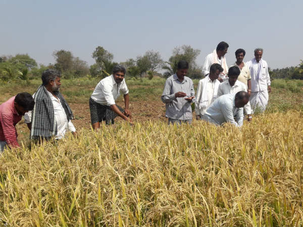 ಲಾಭ ಪಡೆಯಲು ಹೊಸ ವಿಧಾನ