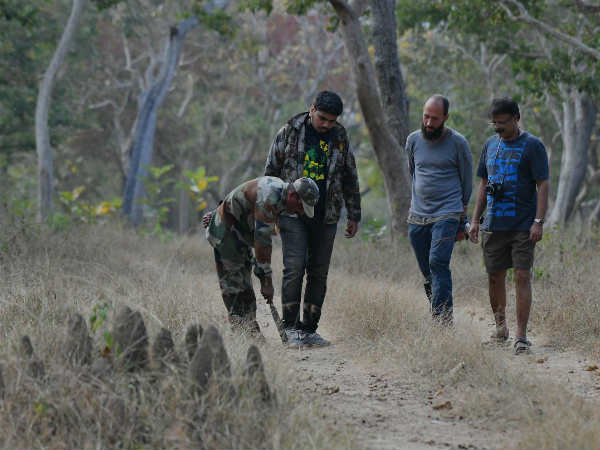 ಹುಲಿಗಣತಿಗಾಗಿ ಹೊಸ app ಹುಲಿಗಣತಿಗಾಗಿ ಹೊಸ app