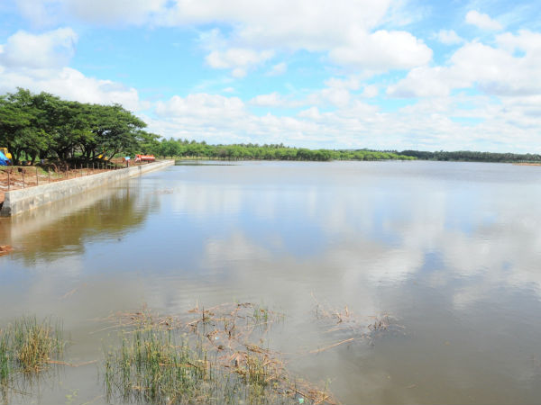 20 ಕೆರೆಗಳಿಗೆ ನೀರು