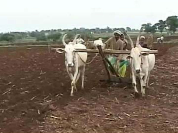 ಜಿಲ್ಲೆಯ ರೈತರಿಗೆ 45 ಕೋಟಿ ಸಹಾಯಧನ ಧನ ವಿತರಣೆ