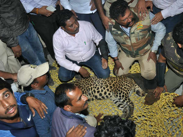 ಪ್ರಶ್ನೆ: ಅರಣ್ಯ ಇಲಾಖೆಯಲ್ಲಿ ವನ್ಯಜೀವಿಗಳ ರಕ್ಷಣೆ ಮಾಡುವುದಕ್ಕೆ ಸೂಕ್ತ ಸಲಕರಣೆ ಇವೆಯಾ, ವೈದ್ಯರು ಹಾಗೂ ಸಂಪನ್ಮೂಲ ವ್ಯಕ್ತಿಗಳು ಇದ್ದಾರಾ?