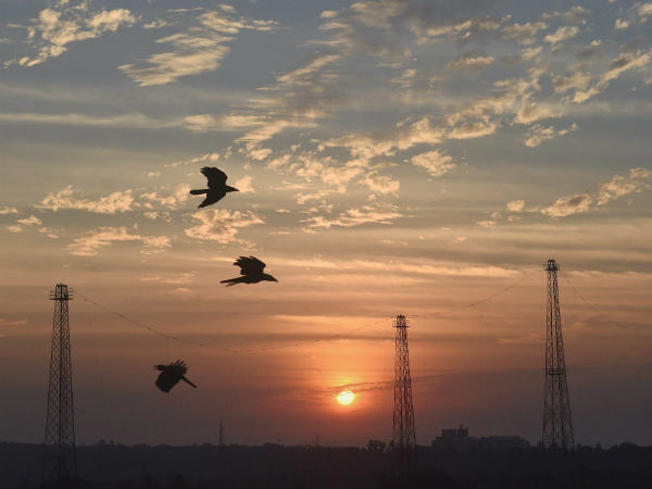 ಸೂರ್ಯ ನಮಸ್ಕಾರ