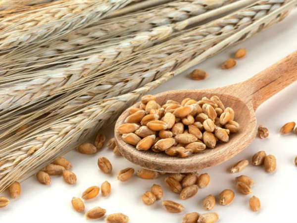 Kannada Essay contest on Gauri Seeds