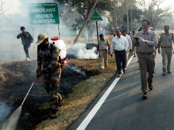 Precautionary method to prevent wildfire in Bandipur