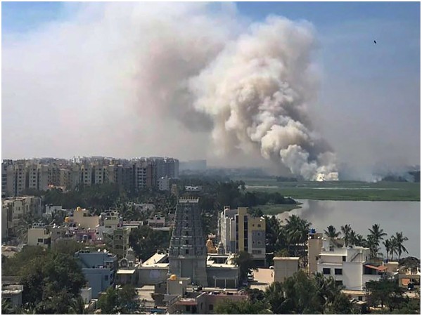 Bellandur lake catches fire