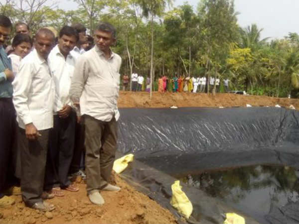 ಬೇಸಿಗೆಯಲ್ಲೂ ಬೆಳೆ