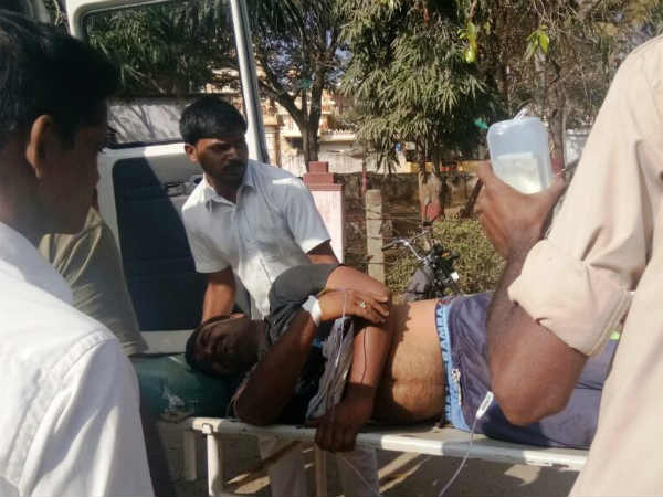 Elephant nuzzles forest staff 