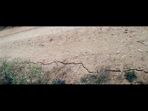 ಬಿರುಕು ಬಿಟ್ಟ ಕೆರೆ ಏರಿ