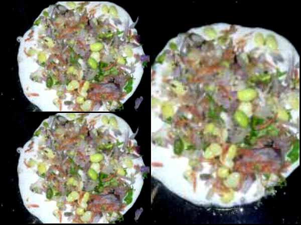 Interesting story behind Avarekayi and wisdom