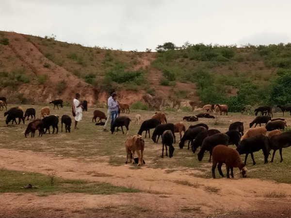 ಅಂಥ ಯಾವ ಲಕ್ಷಣವೂ ಇರಲಿಲ್ಲ