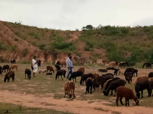 ಕೈವಾರ ತಾತಯ್ಯನ ಪದ ಹಾಡುವುದರಲ್ಲಿ ಸುಖವಿದೆ