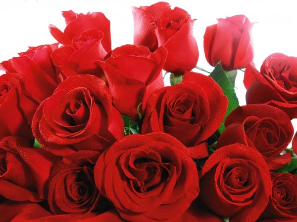 Valentines Day : Love is not only for Youngsters, Love is for all