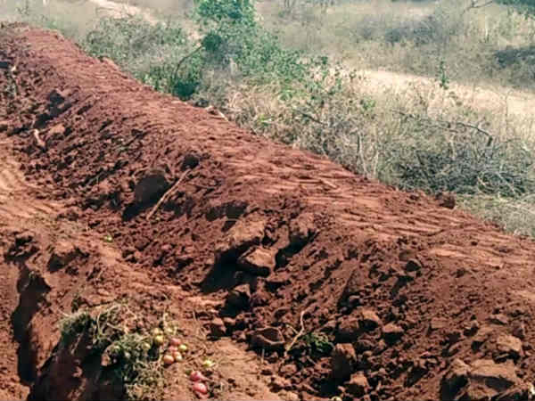 Bunding to preserve ground water table in Gundlupet 