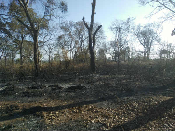 ಬೇಸಿಗೆ ಬಂತು ಹುಷಾರು!