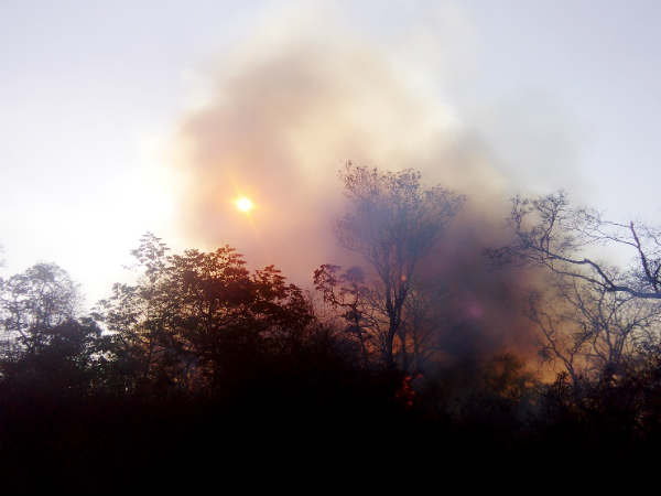 ಸಿಗರೇಟ್ ಸೇದಿ ಎಸೆಯುವ ಪ್ರಯಾಣಿಕರು!